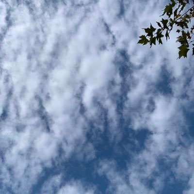 DrZhouYu's profile picture. Innovator, Entrepreneur