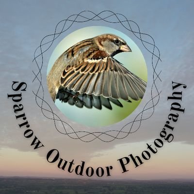 SparrowOutdoor's profile picture. 