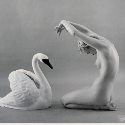 __ri_n_ri_n__'s profile picture. 「うつし世はゆめ 夜の夢こそまこと 」 美容・化粧・美味しいもの・読書