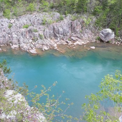 Bocomogal's profile picture. 