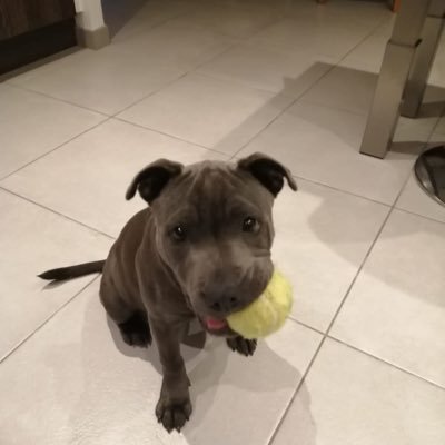 Amelie8799's profile picture. 