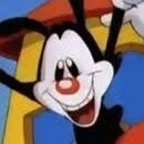 Yakko