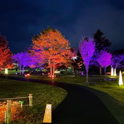 ZzMsGVs8PX0xLf2's profile picture. 