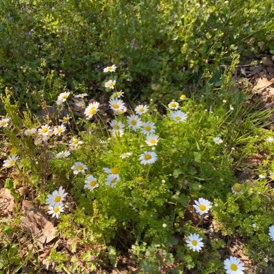 Sinem39943862's profile picture. 