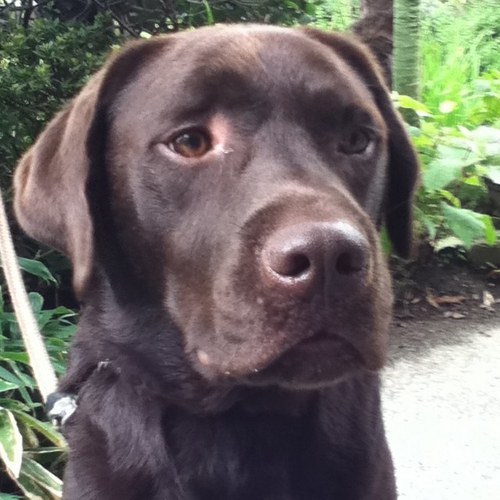 y_zukii's profile picture. 洋楽多く邦楽少し。