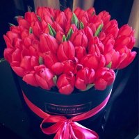 mohamed said (@mohamed12892728) 's Twitter Profile