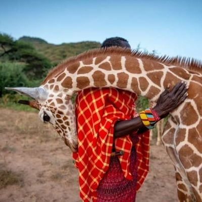 charles_nsele's profile picture. 