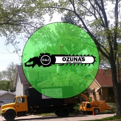 RJOzunasTreeSe1's profile picture. R&J Ozuna's Tree Service Co. is a Tree Service Company in Elmhurst, IL 60126