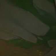 snowflow2r's profile picture. 20살