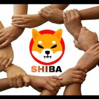 Shib 2022 (@suhelmemon4) 's Twitter Profile Photo Shib 2022 (@suhelmemon4) 's Twitter Profile Photo