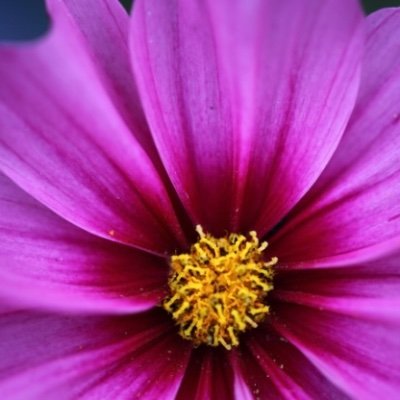 KaylaJameyd's profile picture. Mom of 2. NICU baby, ruptured uterus, lost 2 liters blood, emergency C-section. Documenting our experiencea with American healthcare.