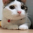 prof_img