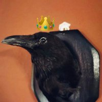 crow 🪩🐦‍⬛(@crowqueene) 's Twitter Profile Photo