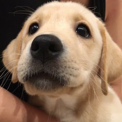 39Goruby's profile picture. 