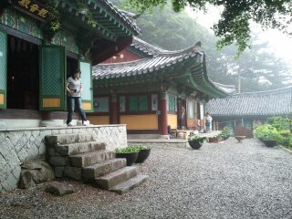 adf8060's profile picture. 정원꾸미기/여행/골프/쇼핑/약사