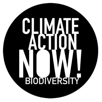 ClimateActionN9 Profile Picture