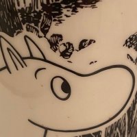 napanderi 🇺🇦🇫🇮🇮🇱 (@napanderi1) 's Twitter Profile