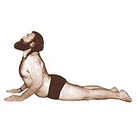 Ramakrishnananda Yoga is the style of hatha yoga as it is taught by Swami Ramakrishnananda.This physical yoga places an emphasis on a meditative practice.
