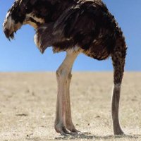 UnGandhi (@dfunctaztec) 's Twitter Profile