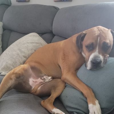 eddie4478's profile picture. 