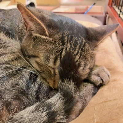 ryo8's profile picture. 