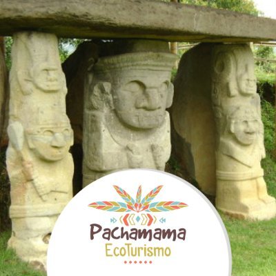 Pachama77724938 Profile Picture