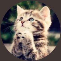 ぽたぴ@RBA☀️ (@pota_u_u) 's Twitter Profile