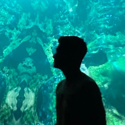 Seantjes's profile picture. mostly complaining about dutch ov