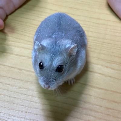 なおさんのプロフィール画像