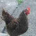orlagarry (@orlagarry1) Twitter profile photo orlagarry (@orlagarry1) Twitter profile photo