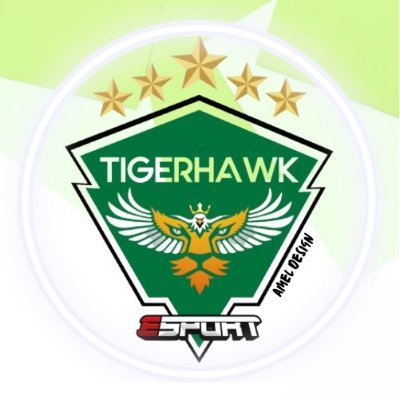 TIGERHAWK Esport Profile