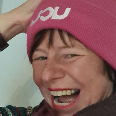 Prof Digital Health - Director @UCL_DPHE -Innovator of the Year 2019 & 2020 - DPH conf chair - opera singer - hiker & trail runner - human rights @amnesty_ihag