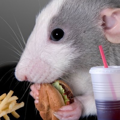 maxbash_'s profile picture. 