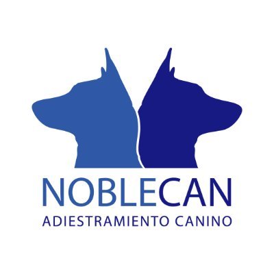 Adiestramiento canino, educación canina y etología canina a domicilio. Expertos en reactividad canina, ansiedad por separación, miedos y mucho más 🎓🐶