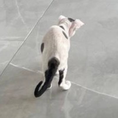 moved accountsさんのプロフィール画像