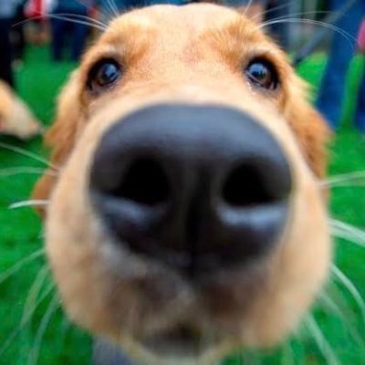 Kazu94401361's profile picture. 最近は何も嗜んでません。