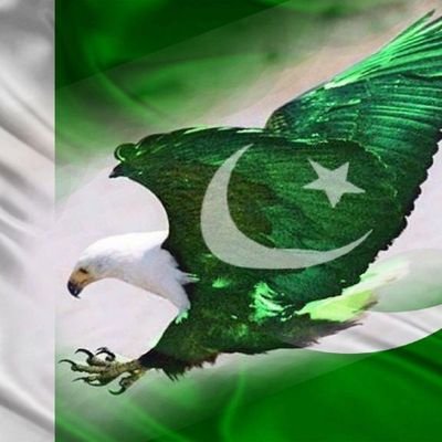 kaleemullah_7's profile picture. Hi everyone