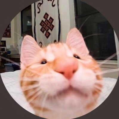 comehangoutw's profile picture. 명예 전주인의 레전드 비빔밥 계정