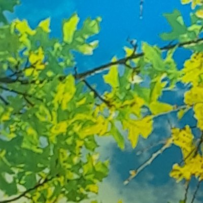 ahmedalshehry41's profile picture. ‏‏‏حيث تكون الحرية يكون الوطن                     

Where liberty is the homeland