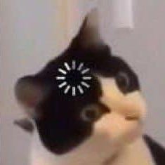 CatRace8's profile picture. 🚀🏋🏽‍♀️🚵🏽‍♂️