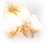 glitter_under