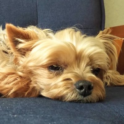 tkkr10301's profile picture. 岩手