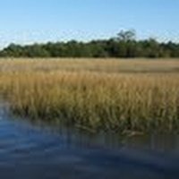 David Floyd (@david10605) 's Twitter Profile