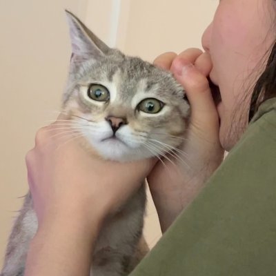 kylixlix's profile picture. Song for you