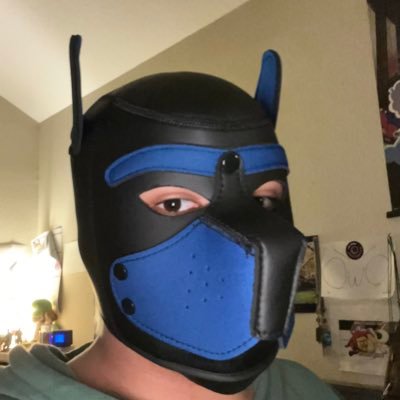 🐾Furry | ♂19 | 🎶 Metal 🎸 | 🏳️‍🌈 certified gay 🏳️‍🌈 | 🎮 gaming and stuff lol ⚔️For Honor⚔️ | 🐶 Lover and loyal to @ElyxFox 🦊