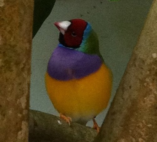 subtlesmile's profile picture. 