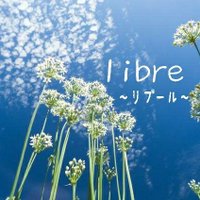 libre 秋葉原🧸💚ご予約案内💁受付専用💌 (@libre_akb) Twitter profile photo