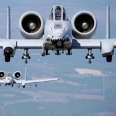 Dpelito's profile picture. 