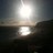 m_cottam's profile image