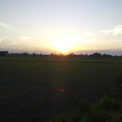 Kodchak82095233's profile picture. 